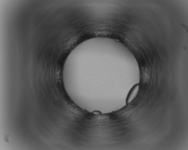 X0000091690619200709201259