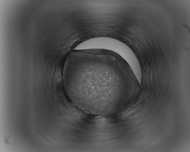 X0000091690620200709201259