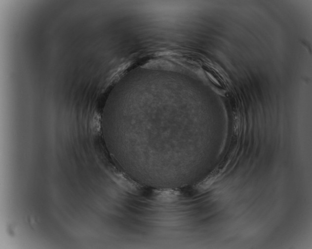 X0000091690621200709201259