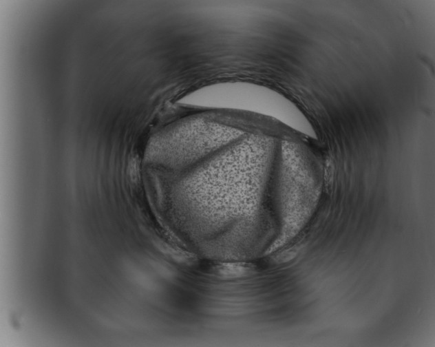 X0000091690623200709201259