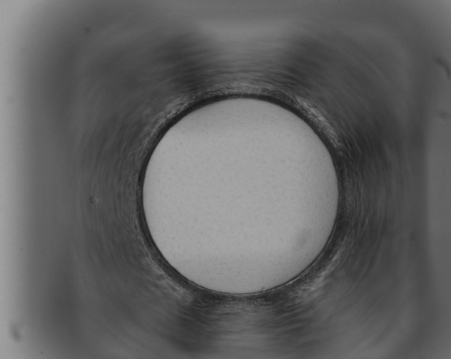 X0000091690625200709201259