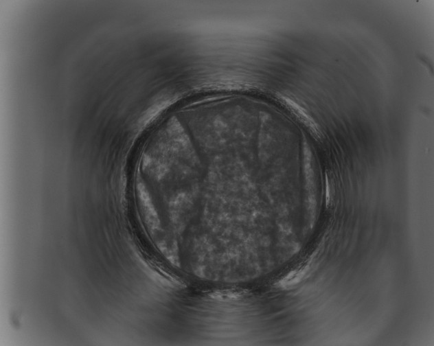 X0000091690627200709201259