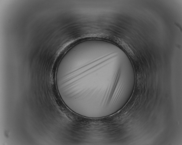 X0000091690628200709201259