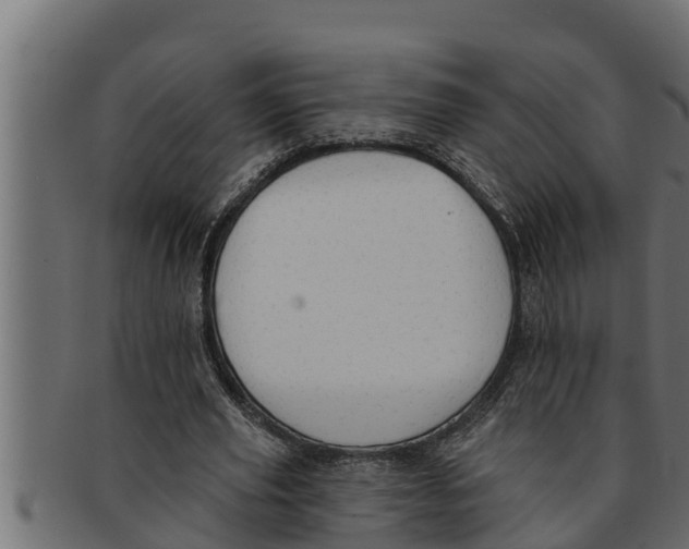 X0000091690629200709201259