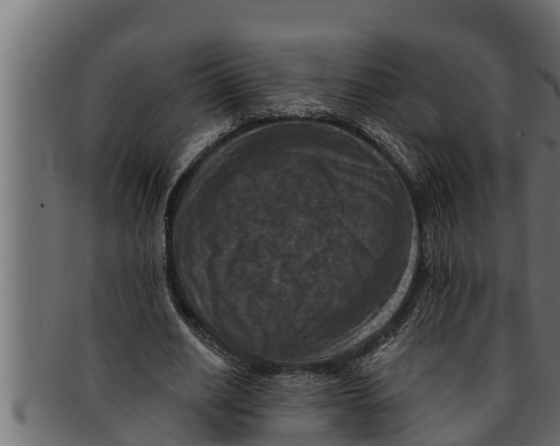 X0000091690630200709201259