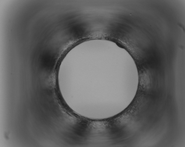 X0000091690632200709201259