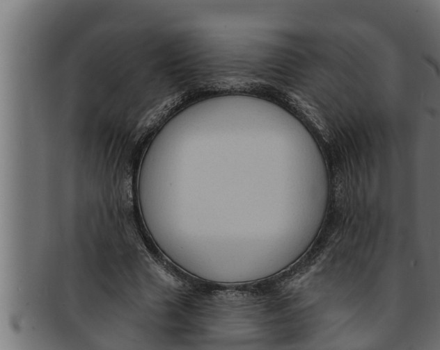 X0000091690633200709201259