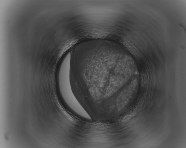 X0000091690634200709201259