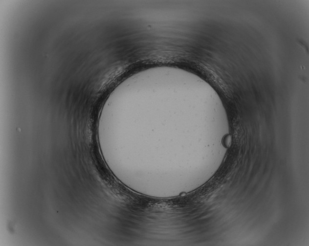 X0000091690635200709201259