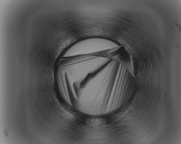 X0000091690638200709201259