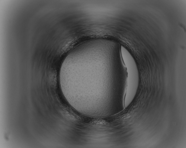 X0000091690642200709201259