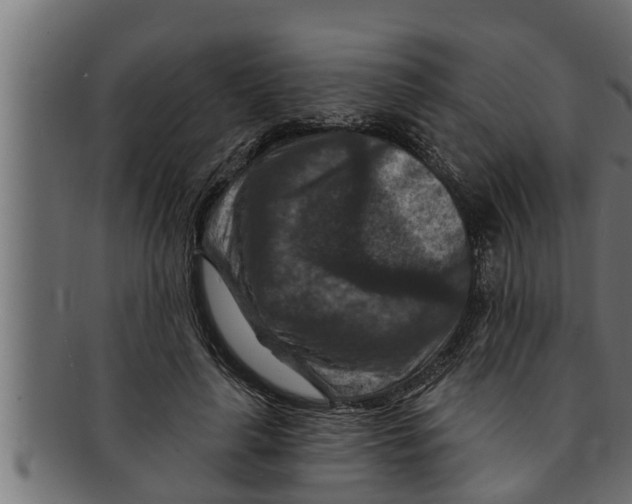 X0000091690643200709201259