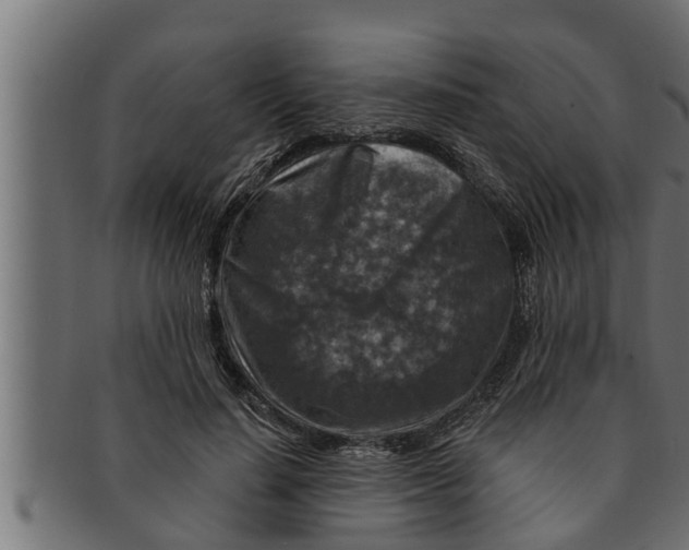 X0000091690644200709201259