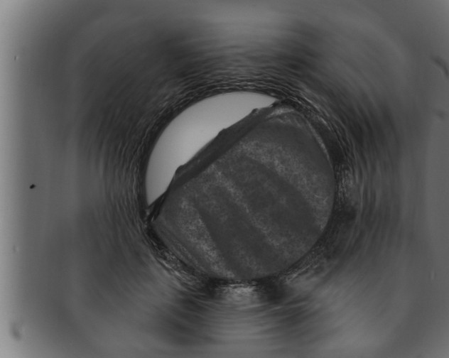 X0000091690651200709201259