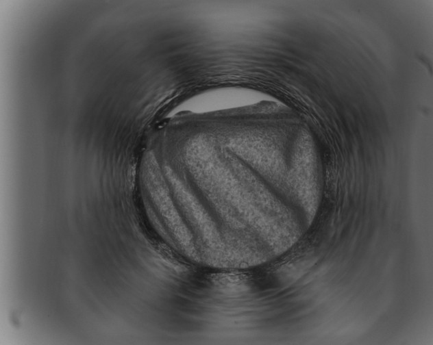 X0000091690652200709201259