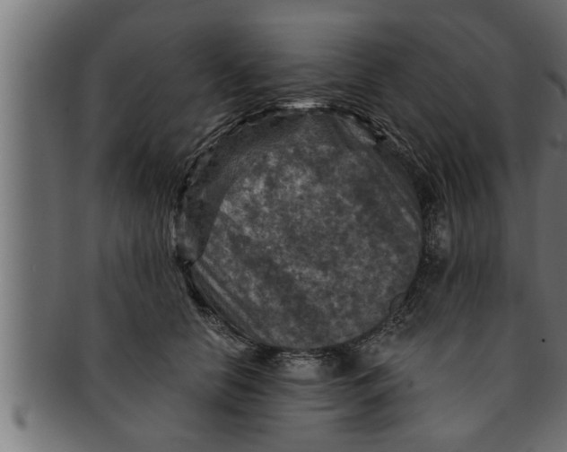 X0000091690658200709201259