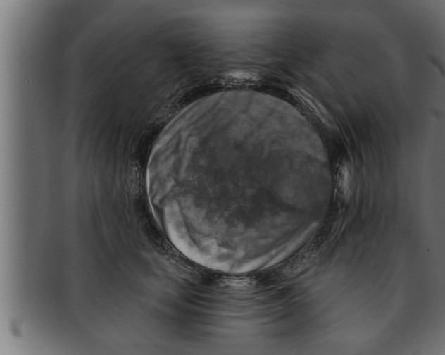 X0000091690659200709201259