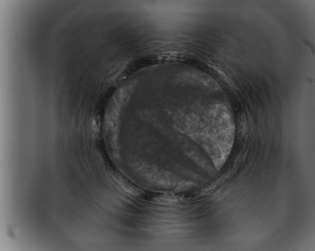 X0000091690661200709201259