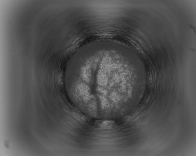 X0000091690663200709201259