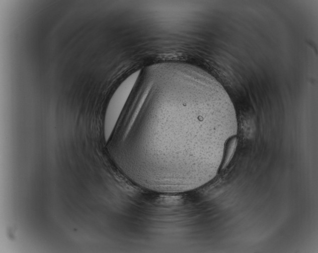 X0000091690665200709201259