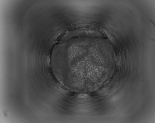 X0000091690669200709201259