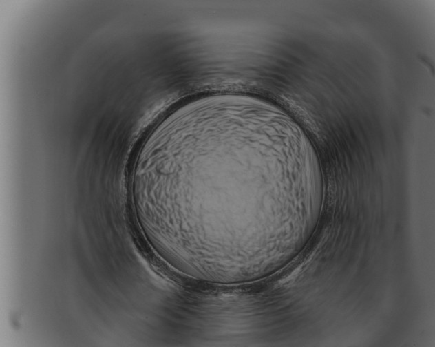 X0000091690674200709201259