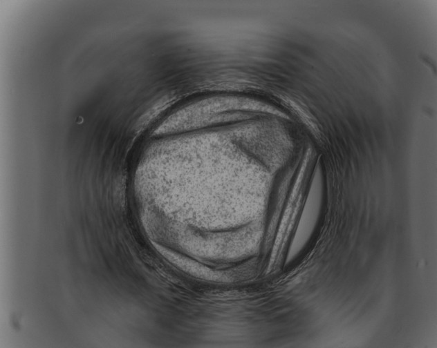 X0000091690675200709201259