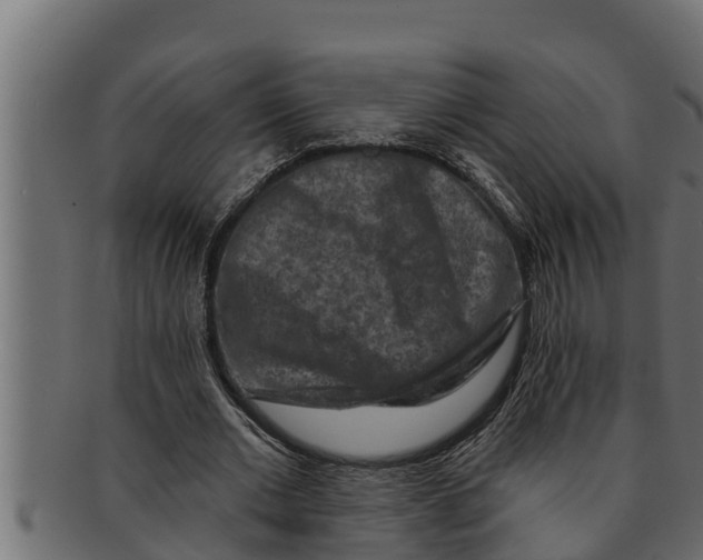 X0000091690677200709201259