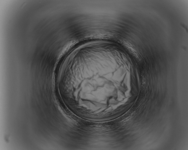 X0000091690678200709201259