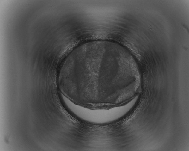 X0000091690681200709201259