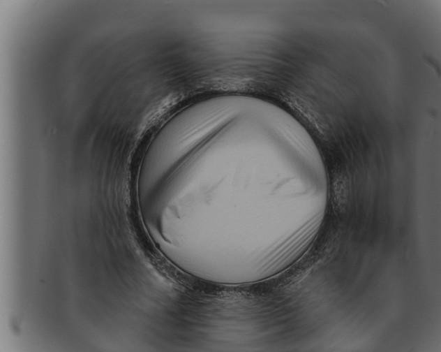 X0000091690682200709201259