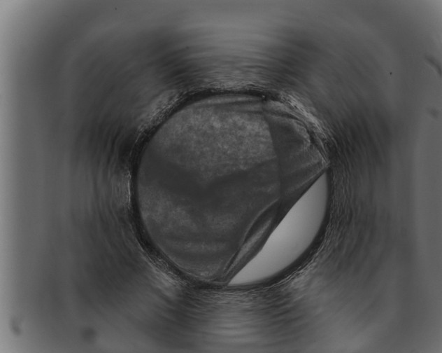 X0000091690685200709201259