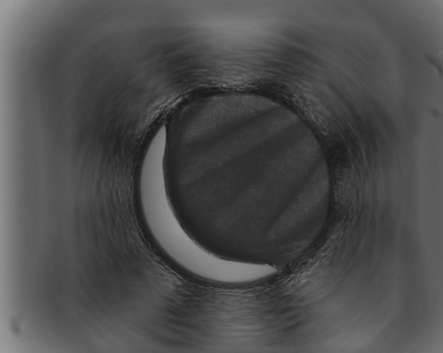 X0000091690689200709201259