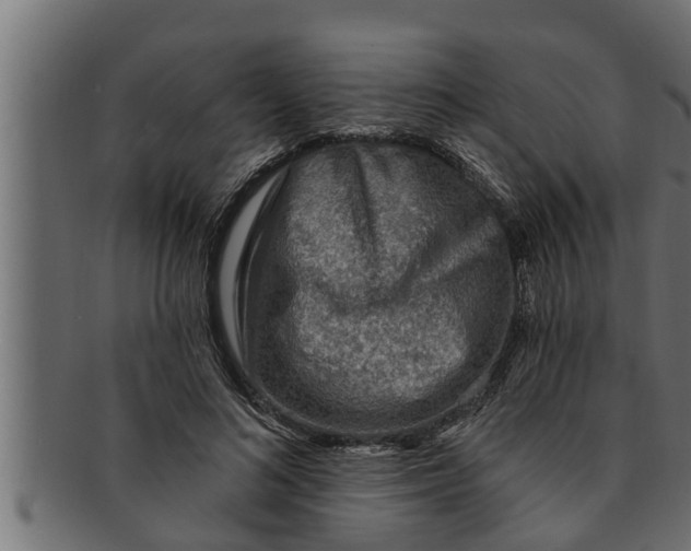 X0000091690692200709201258