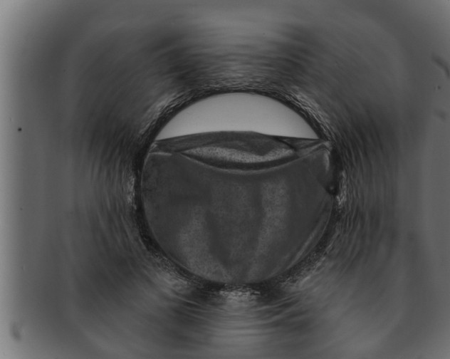 X0000091690693200709201258