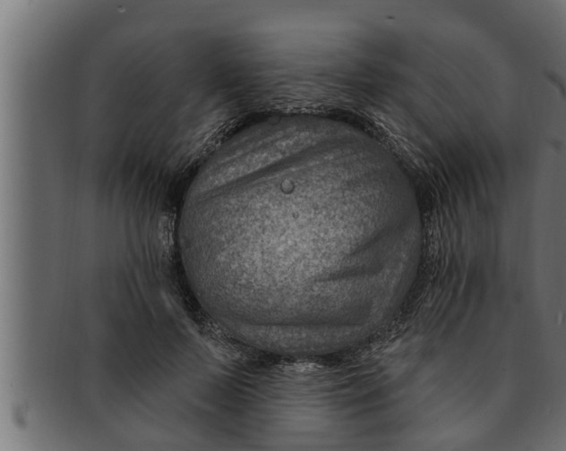 X0000091690695200709201258