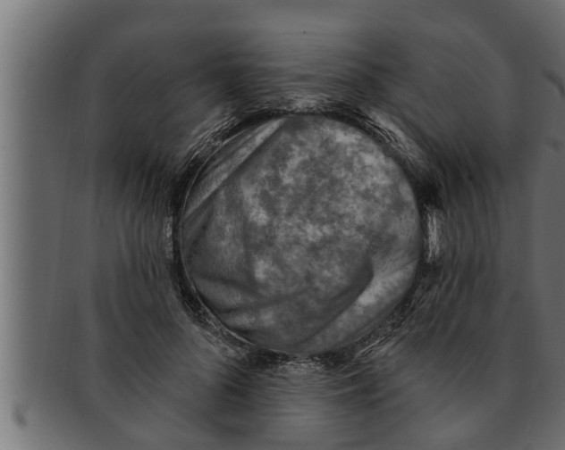 X0000091690696200709201258