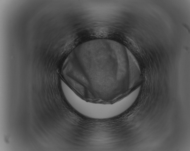 X0000091690697200709201258