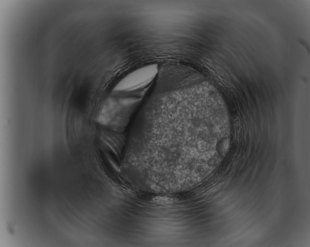 X0000091690699200709201258