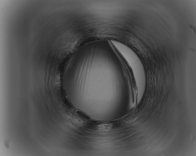 X0000091690700200709201258