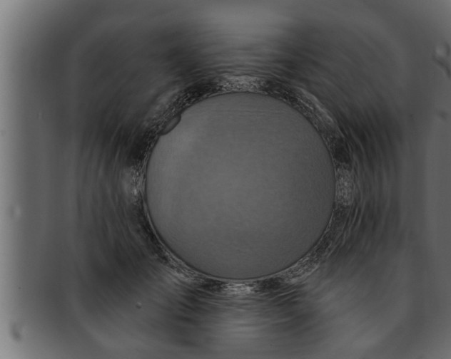 X0000091690701200709201258