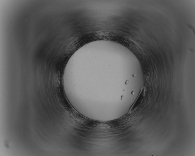 X0000091690702200709201258