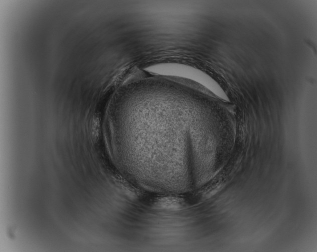 X0000091690708200709201258