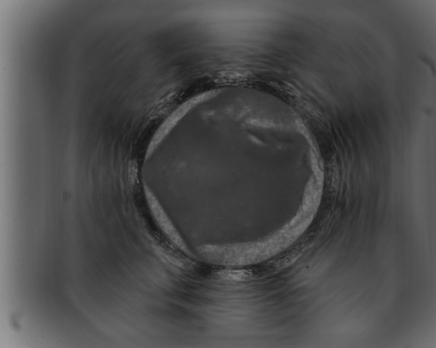 X0000091690711200709201258