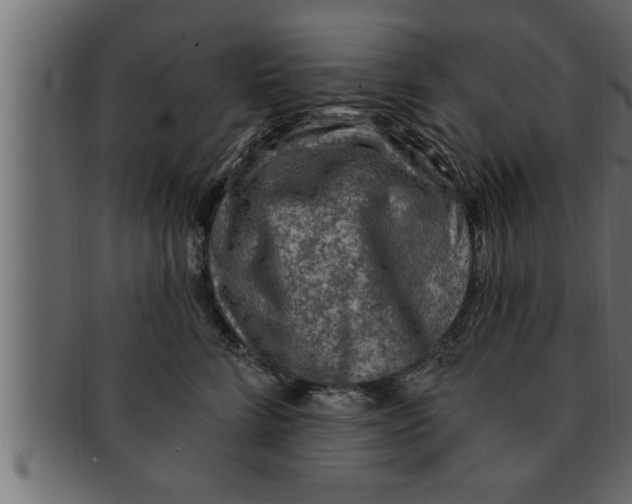 X0000091690712200709201258