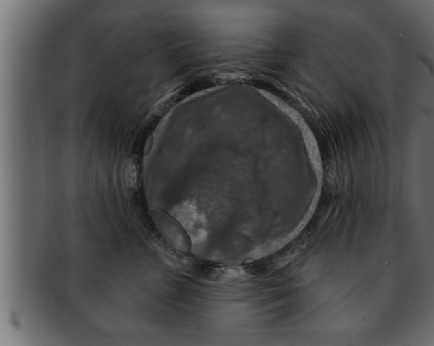 X0000091690715200709201258