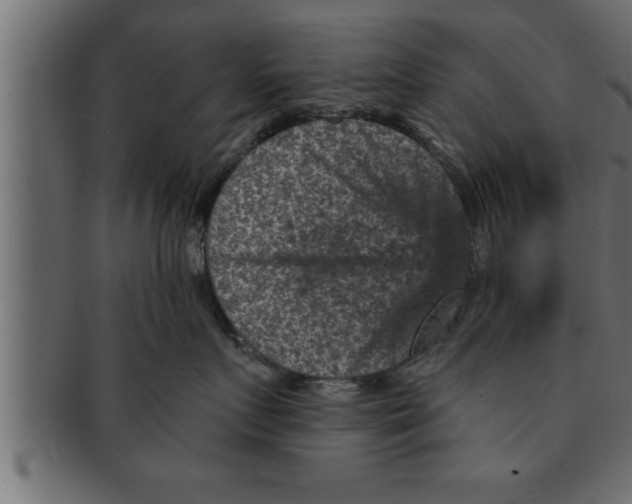 X0000091690719200709201258