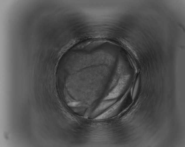 X0000091690721200709201257