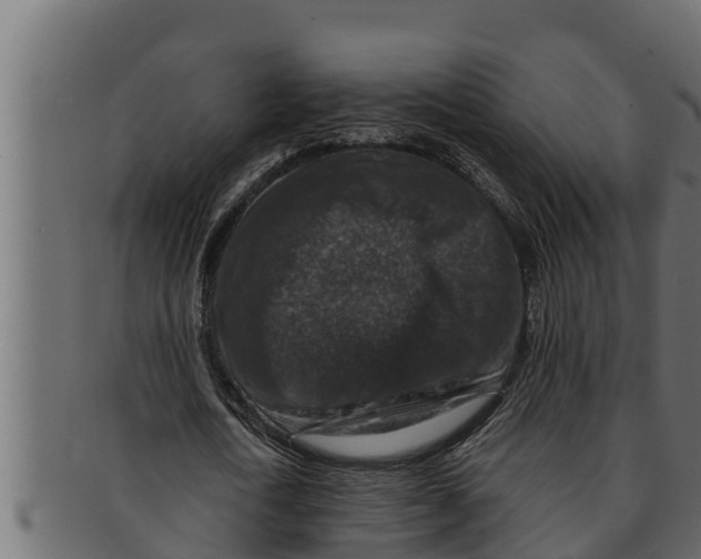 X0000091690722200709201257