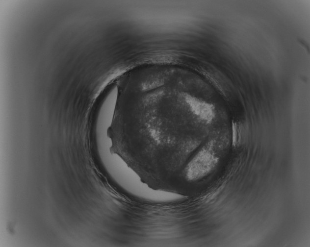 X0000091690723200709201257